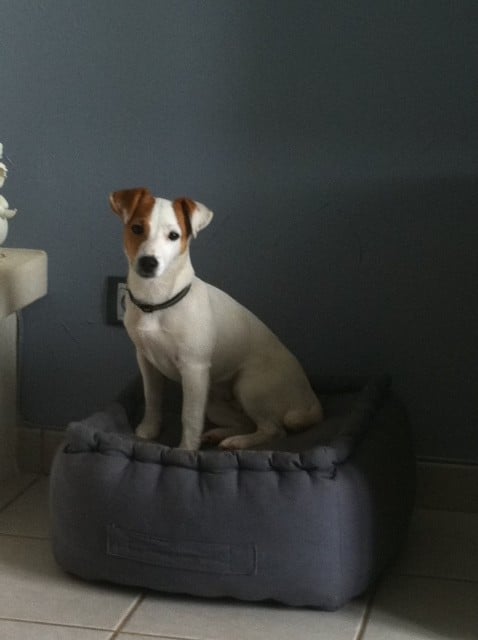 Publication : de la pinkinerie 