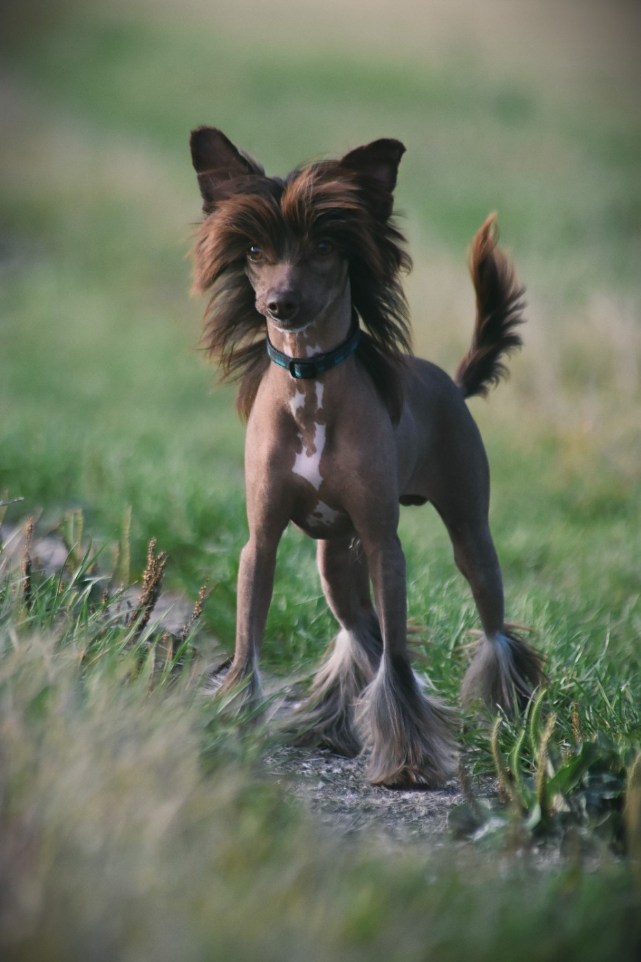 Publication : des Mémoires Sempiternelles Auteur : Pauline COYER