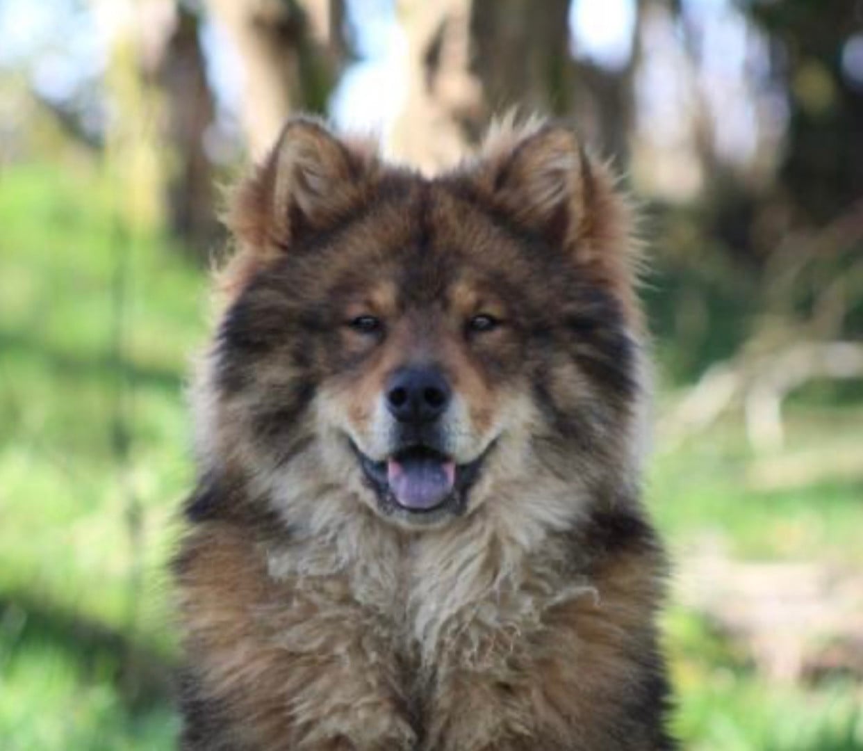 Publication : Des Etoiles Vagabondes Auteur : Caroline Lambert