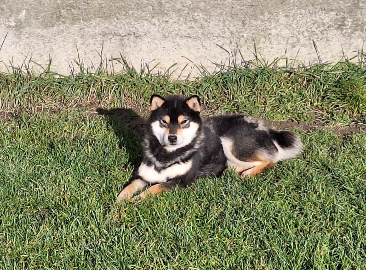 Publication : Gion Corner Auteur : Audrey Morcel