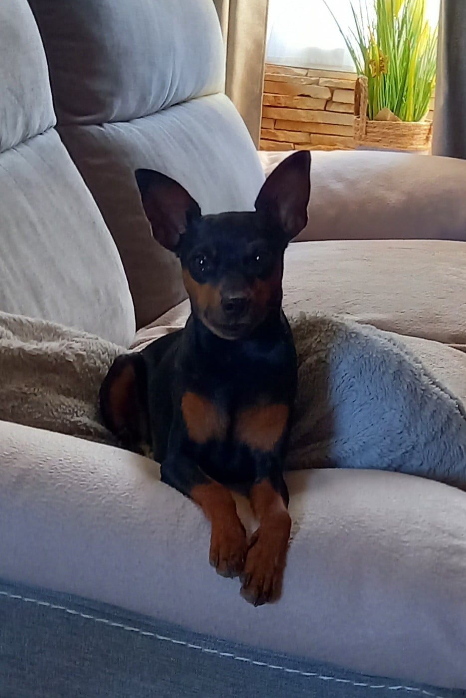 Publication : (Sans Affixe)