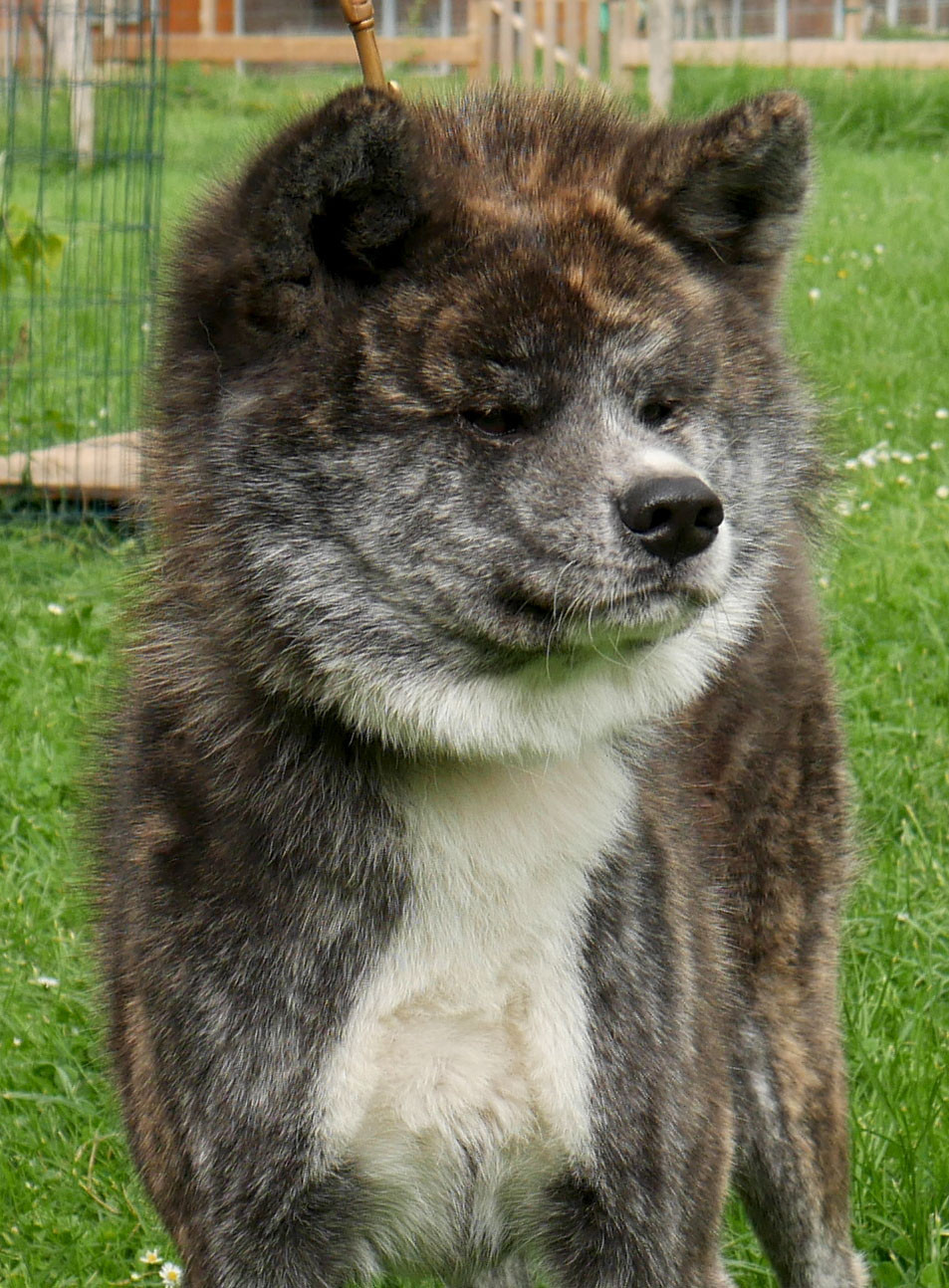 Publication : Imperial Sun