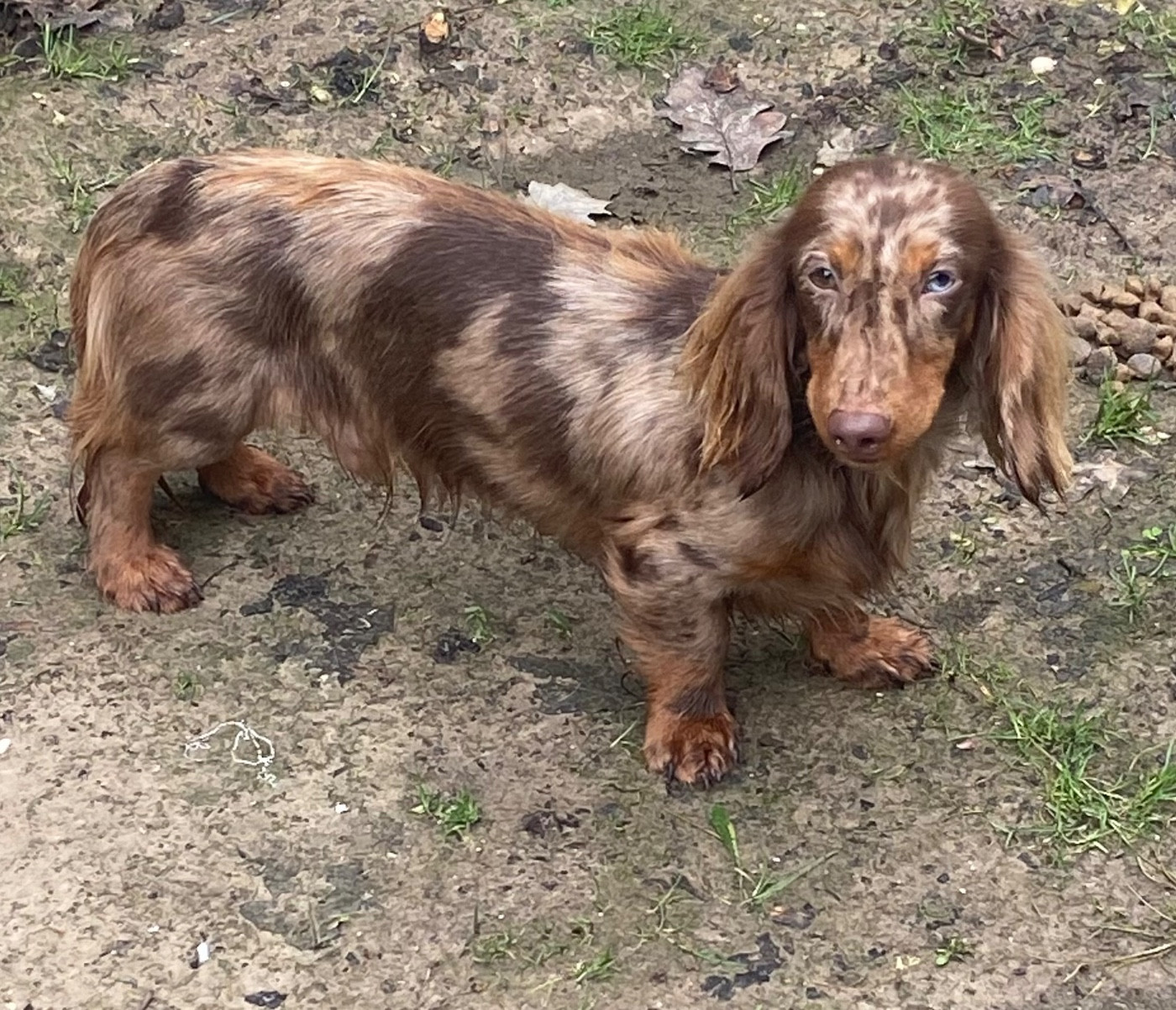 Publication : (Sans Affixe) 