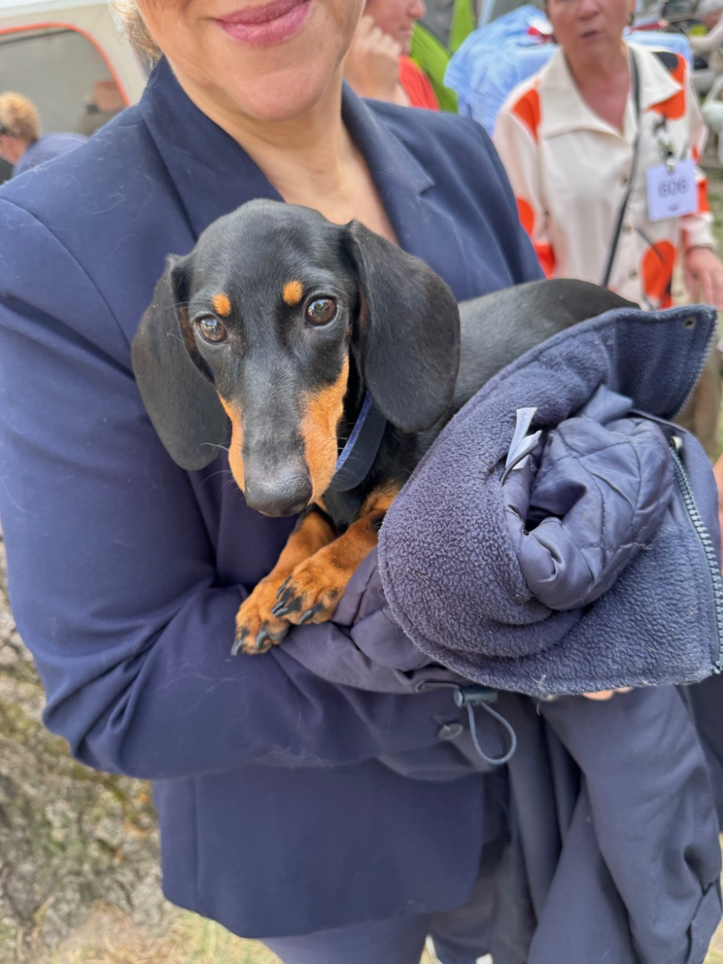 Publication : De L’Impérial Du Laurier 