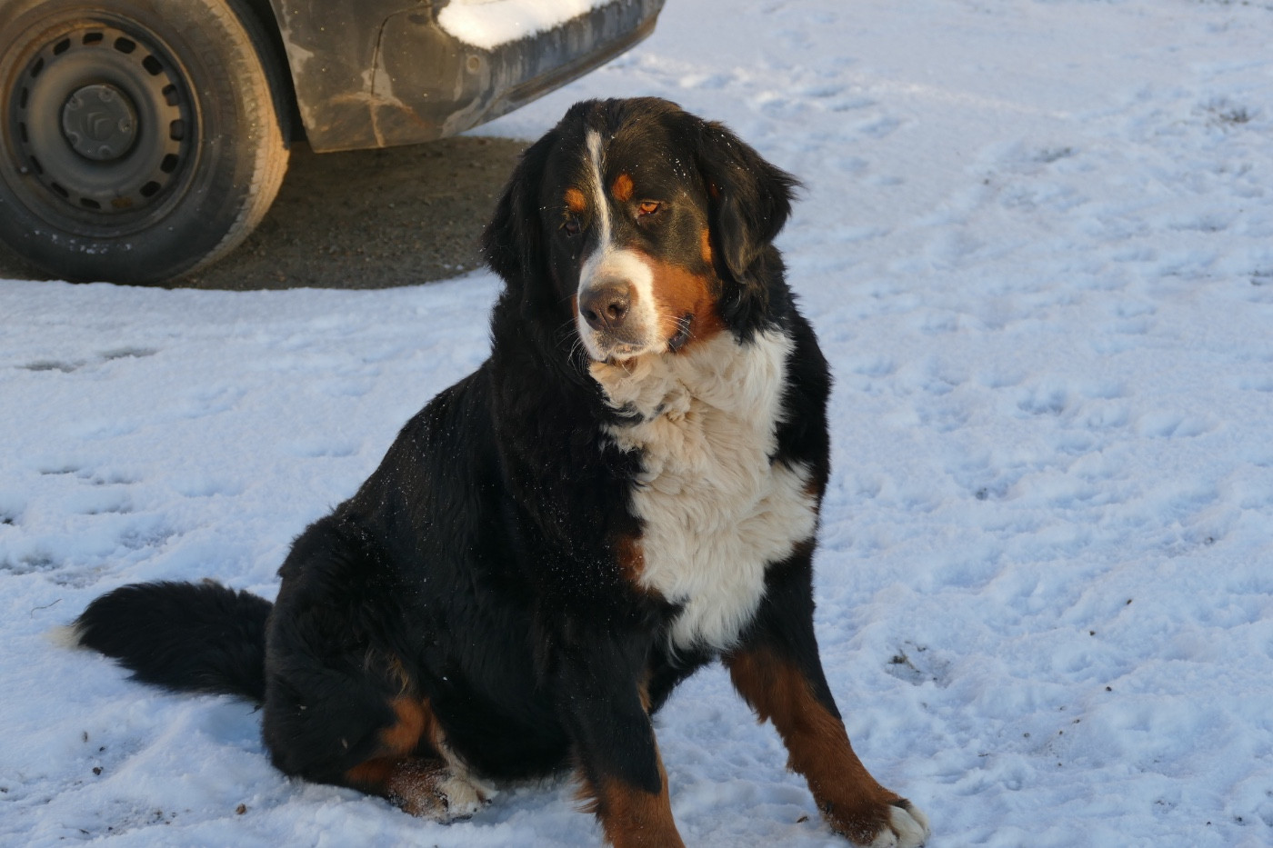 Publication : Des Terres De Pag 