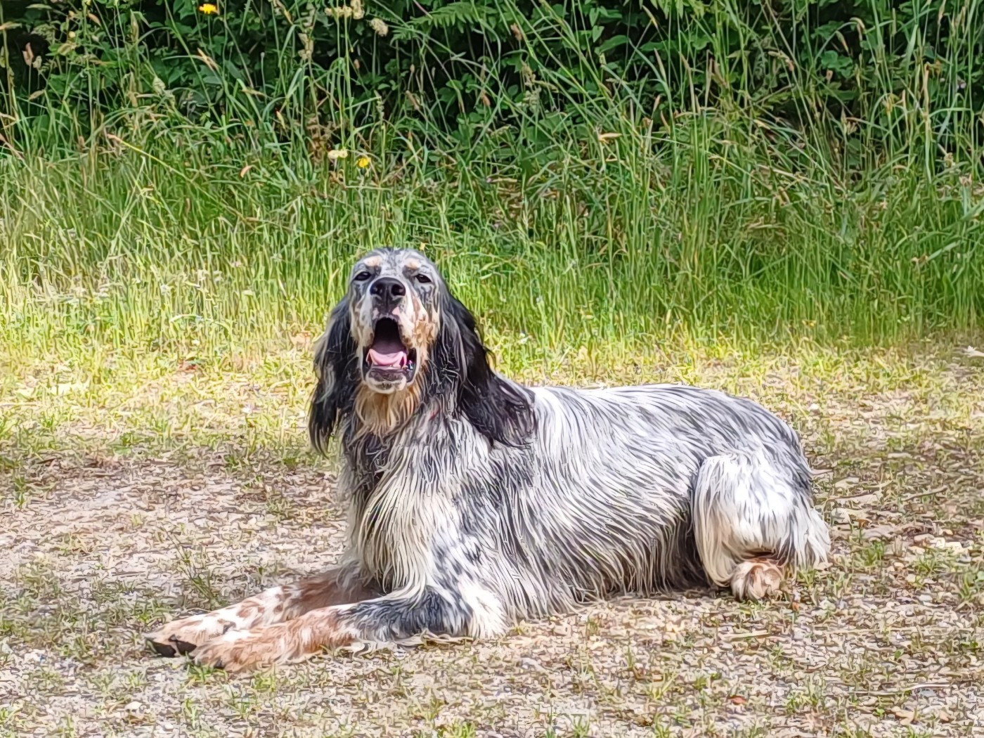 Publication : du champ de la patience 