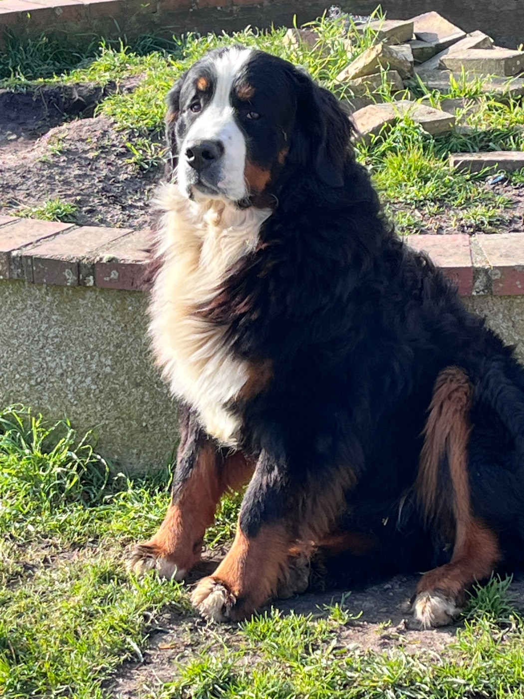 Publication : Des Terres De Pag 