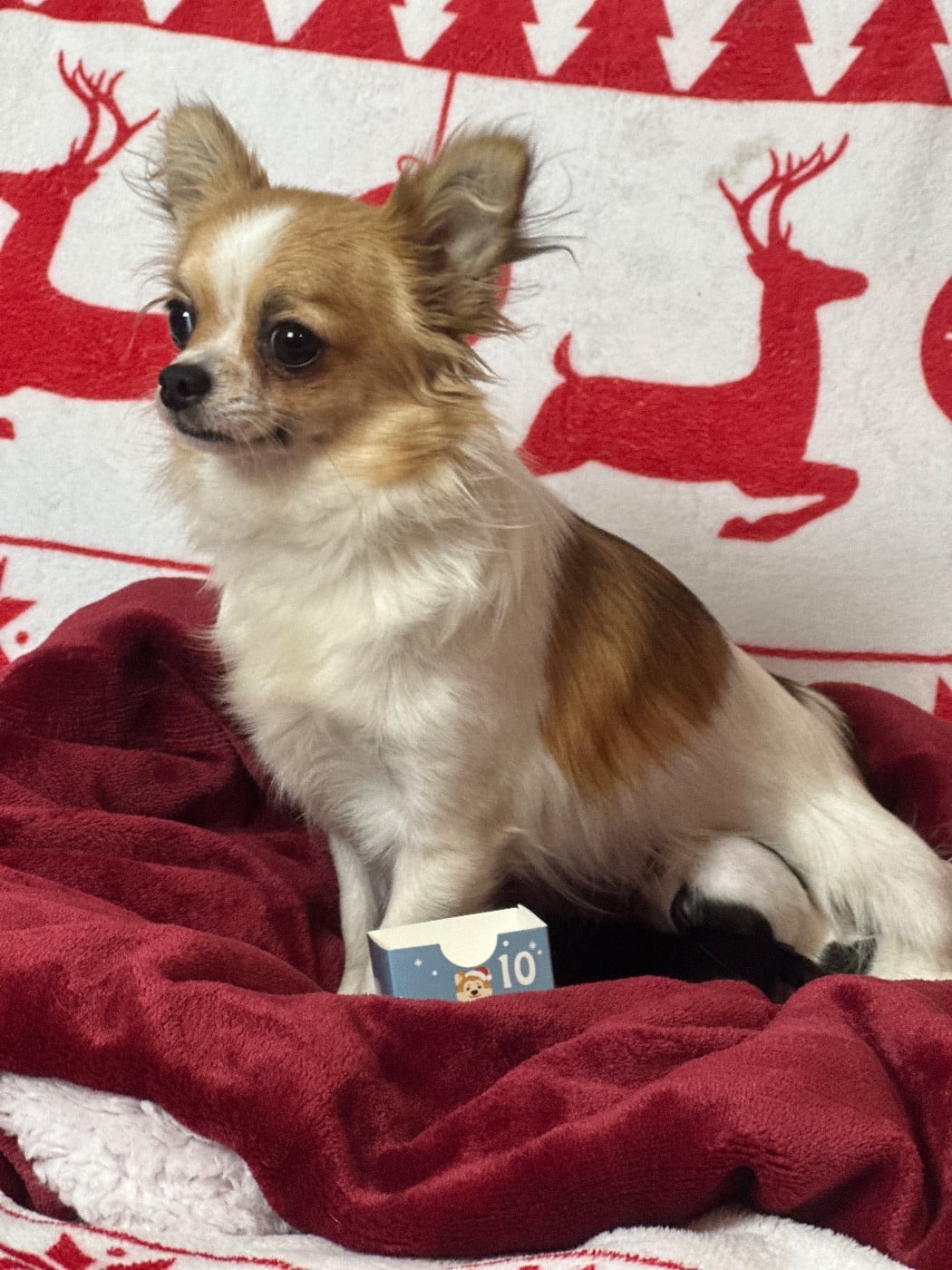 Publication : du moulin de madjurie 