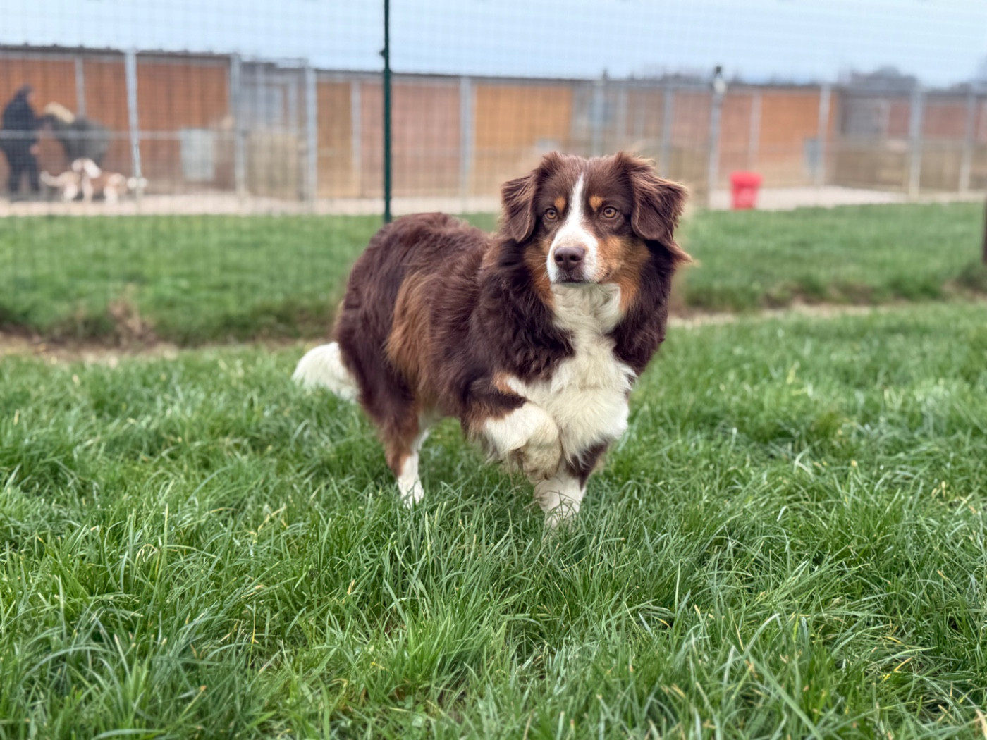 Publication : Des Terres De L'Avesnois 