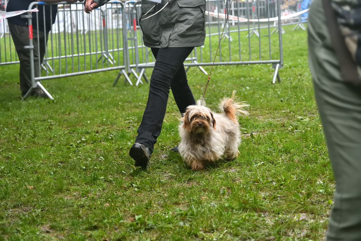 Publication : La Forge aux sept flammes 