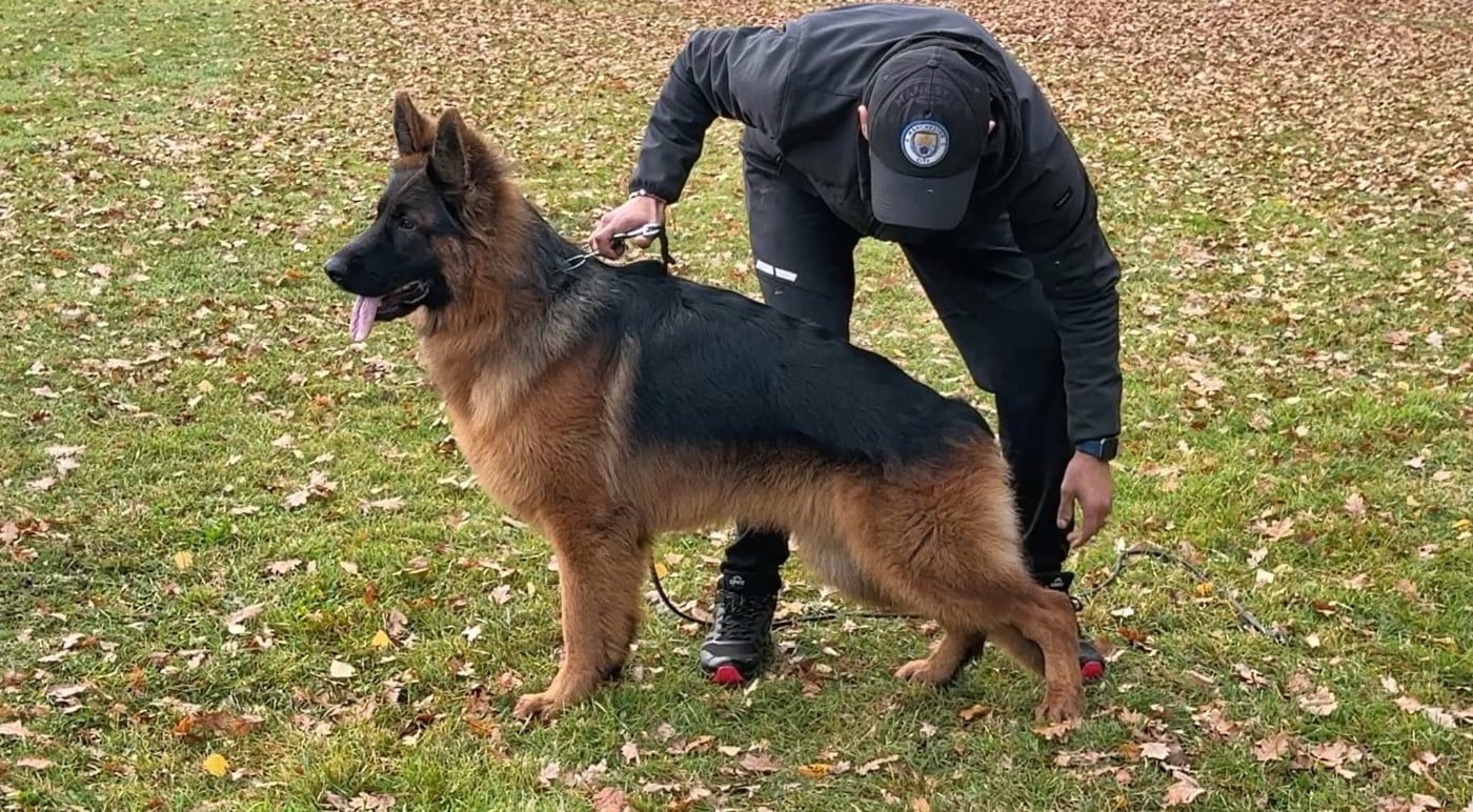 Publication : Vom Haus Schonen Rosen 