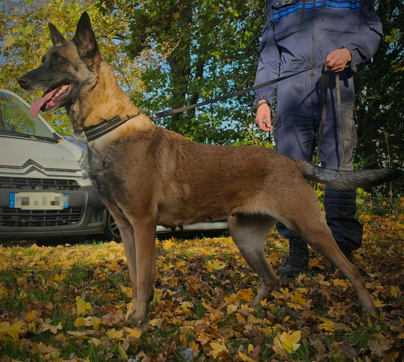 Publication : Des Gardiens Enchainés 