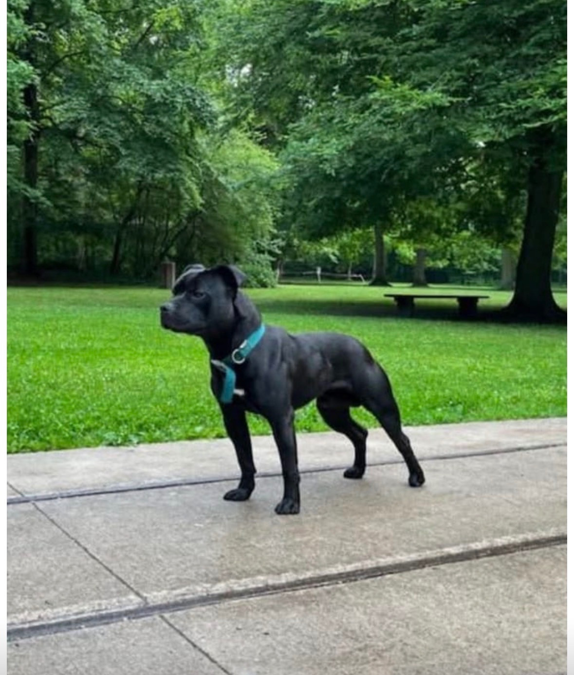 Publication : Du Royaume De Babylone 