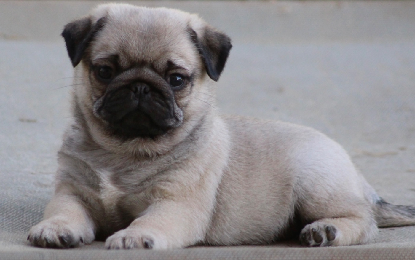 Publication : New Soul 