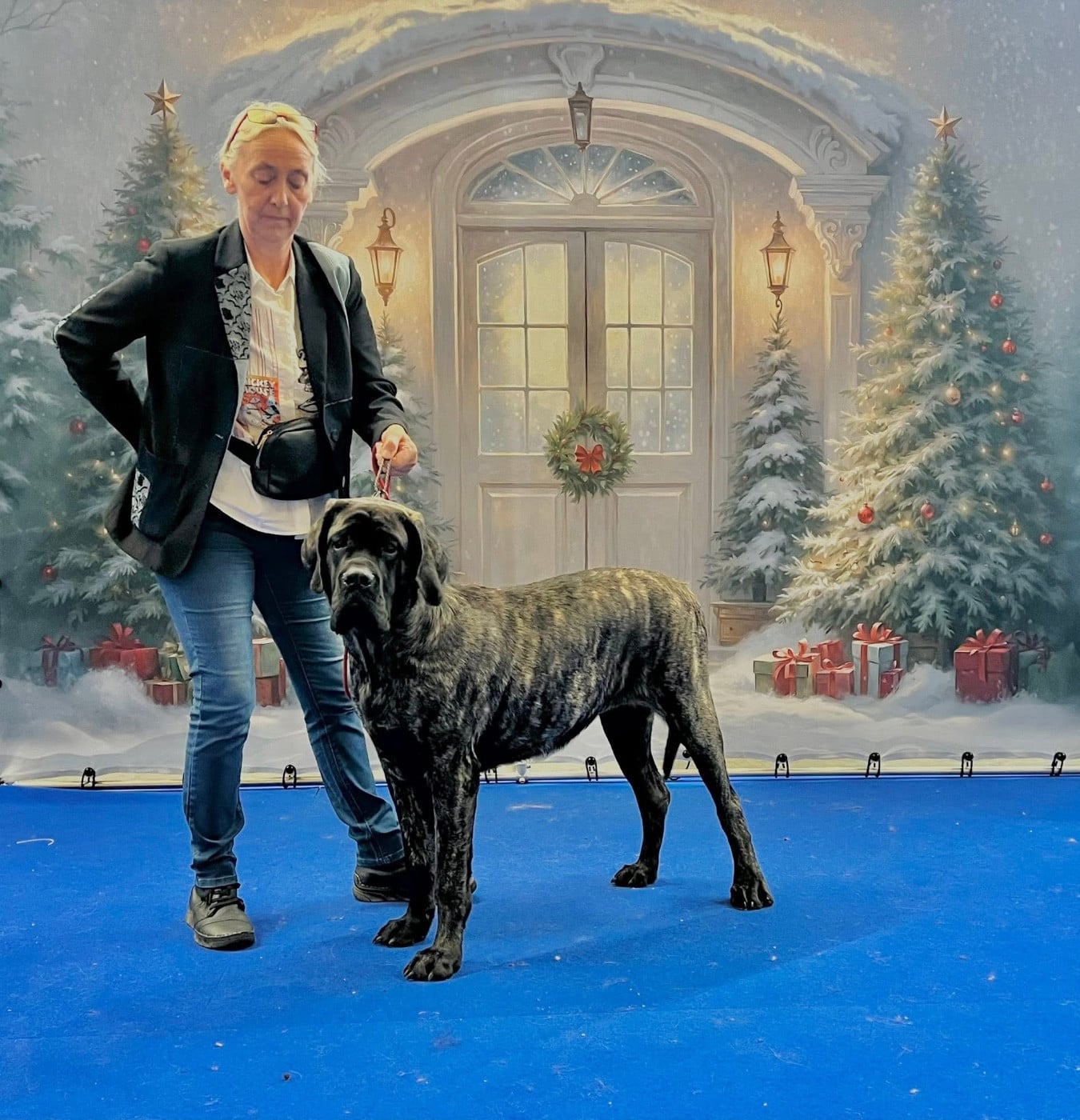 Publication : Des Terres De Beaulieu