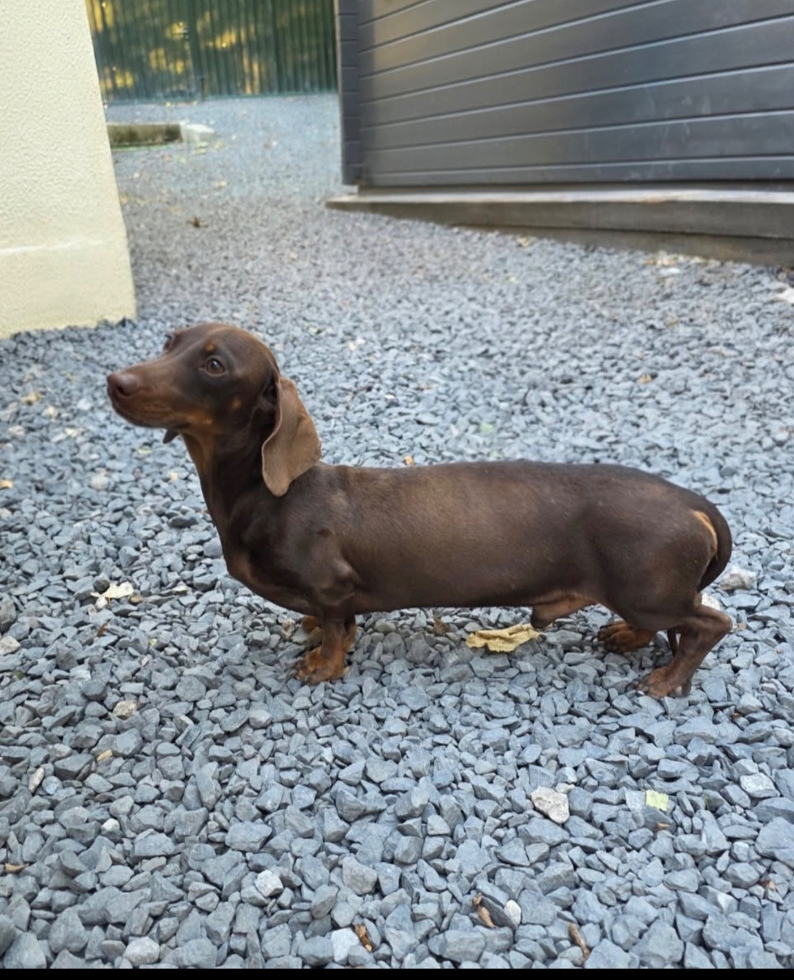 Publication : Red Millions 