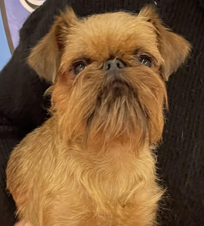 Publication : Des Brabs De Philie Auteur : Des Brabs de Philie