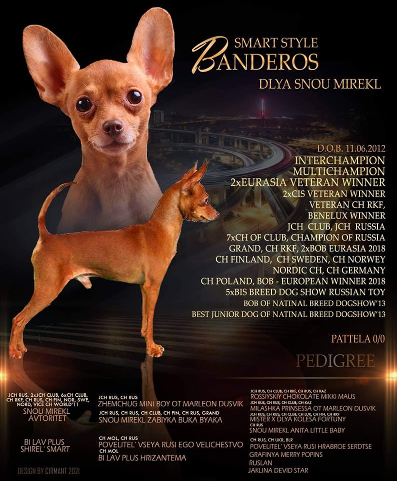 CH. smart style Banderos dlja snou miracle