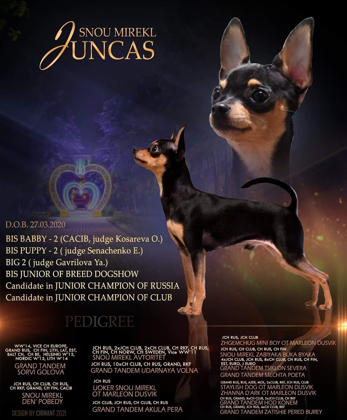 CH. snou mirekl Juncas