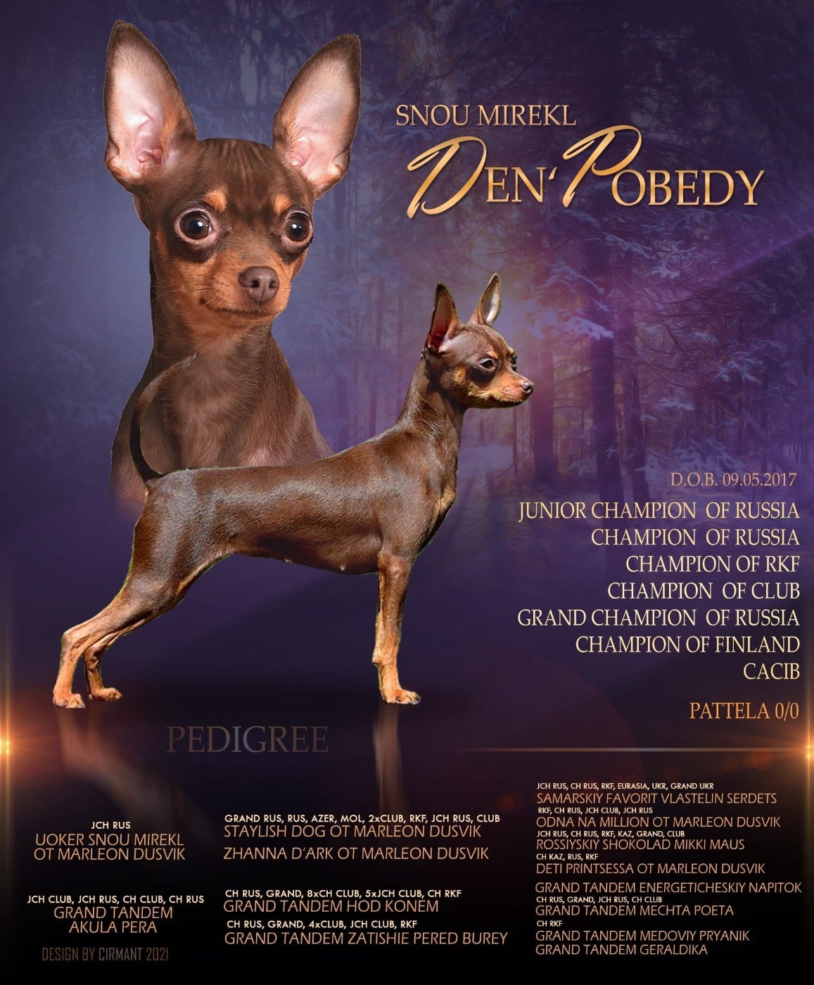 CH. snou mirekl Den pobedi