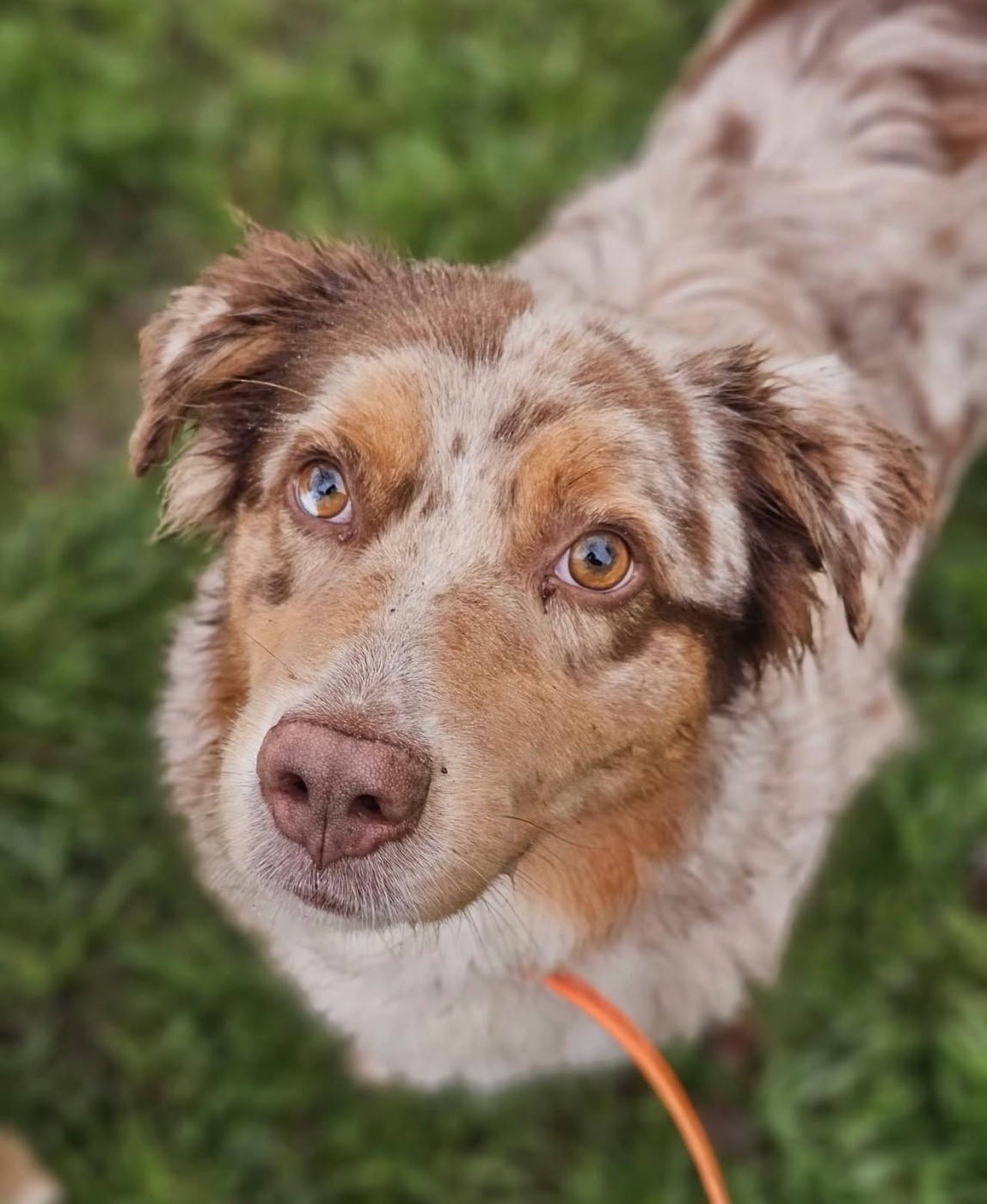 Publication : (Sans Affixe) 