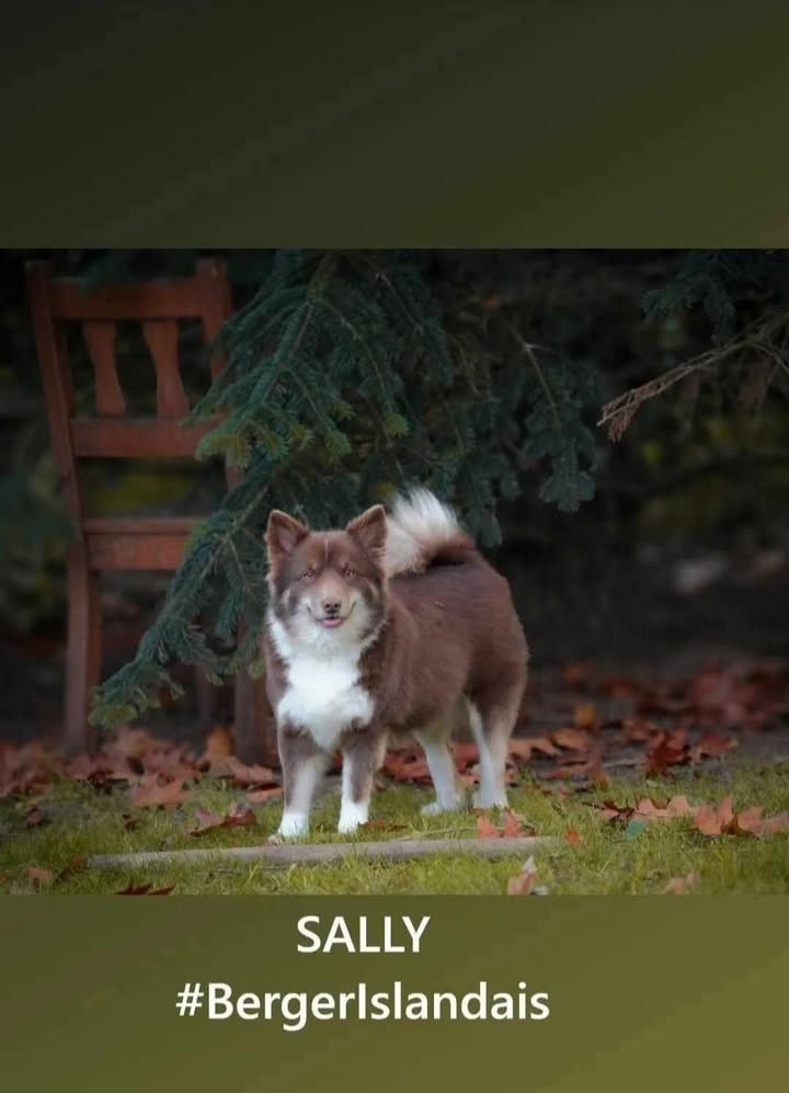 Publication : Du Domaine De Leimgraben 