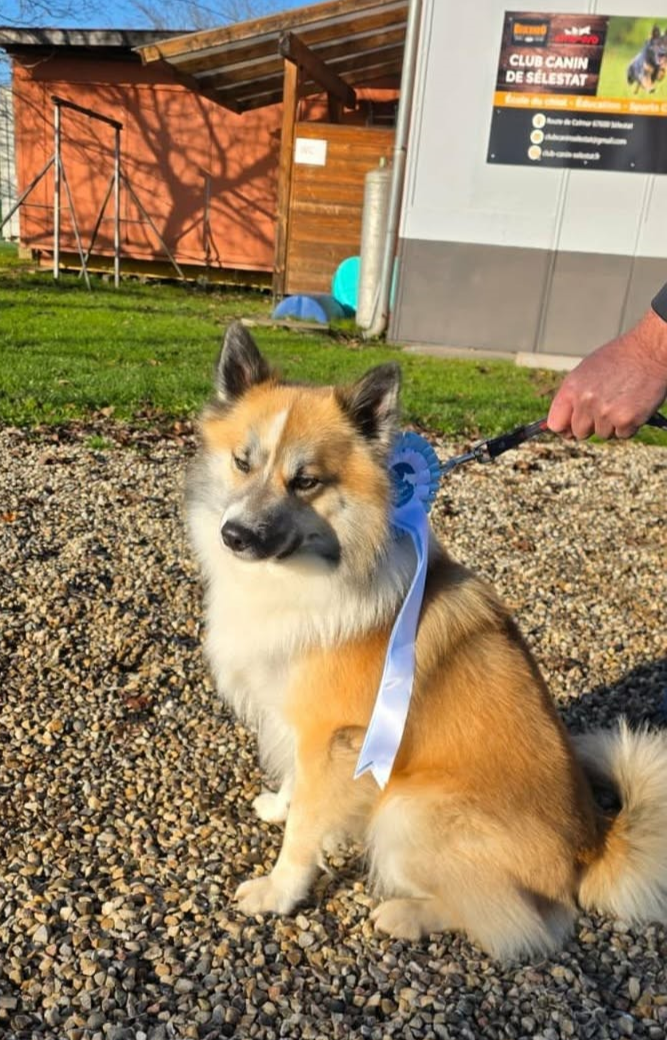 Publication : Du Domaine De Leimgraben 