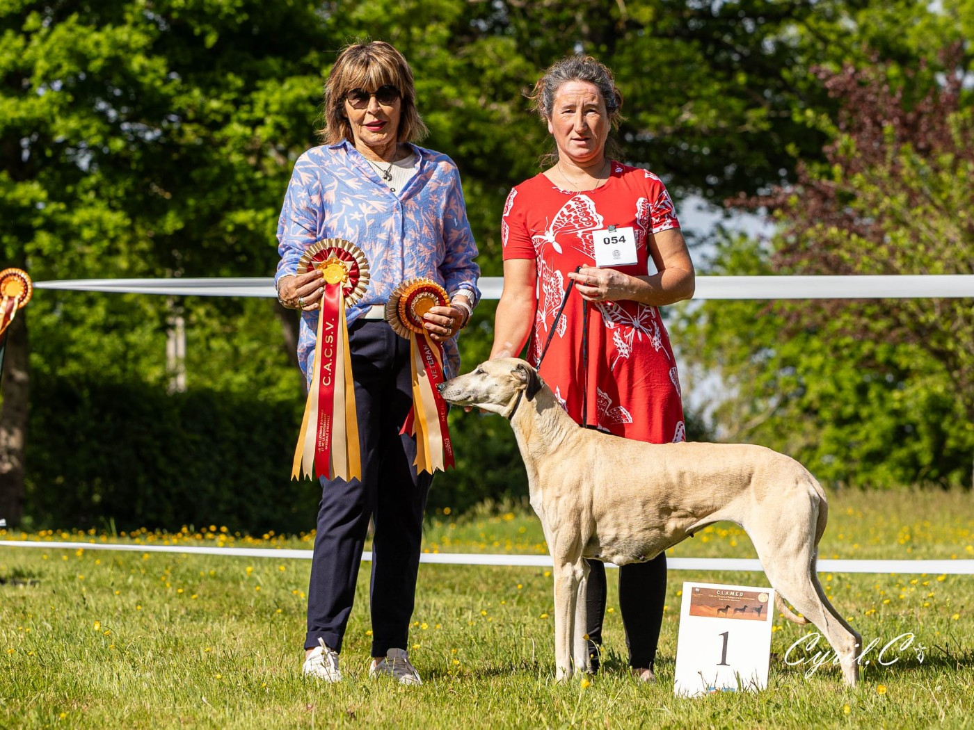 Publication : de la dehannaie Auteur : Cyril carnec