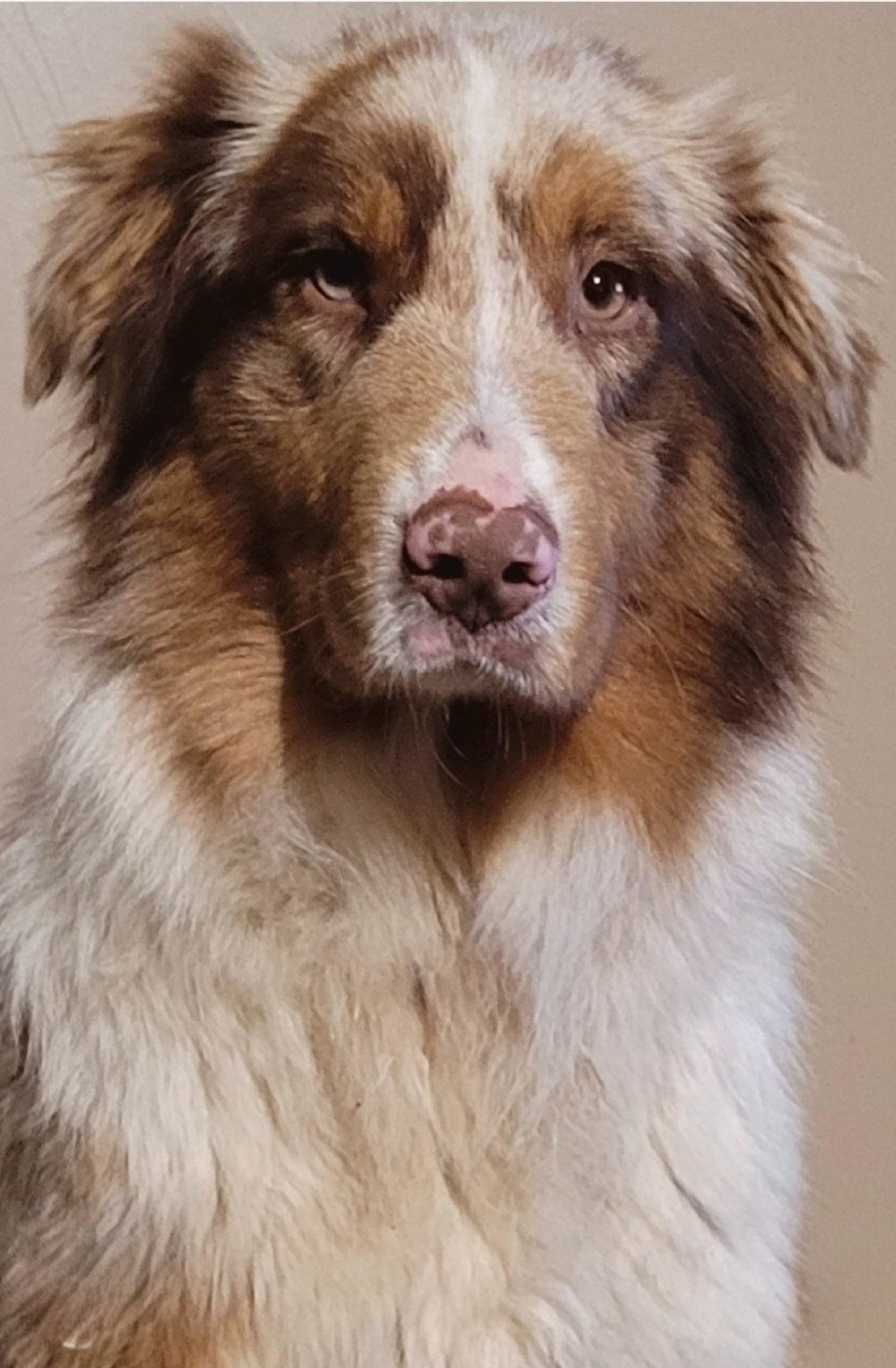 Publication : Du Nirvana De L’Ecrin De Kali 