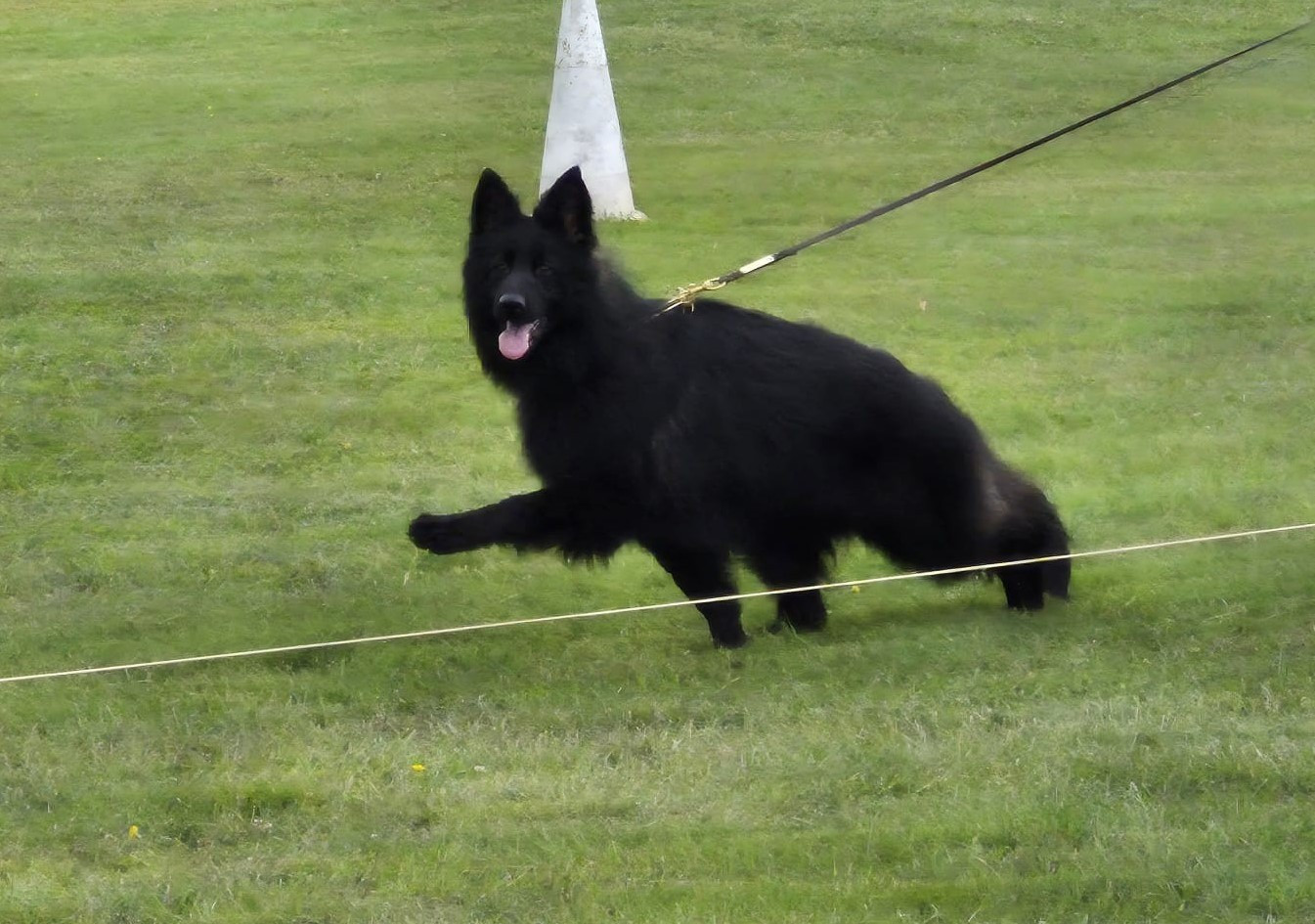 Publication : de L'Etang de Freville Auteur : YASMINA DONNAT