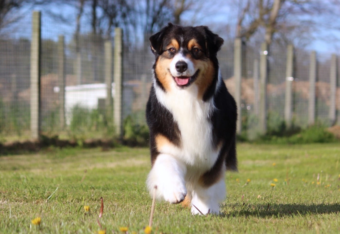 Publication : des Terres De Khairyaca 