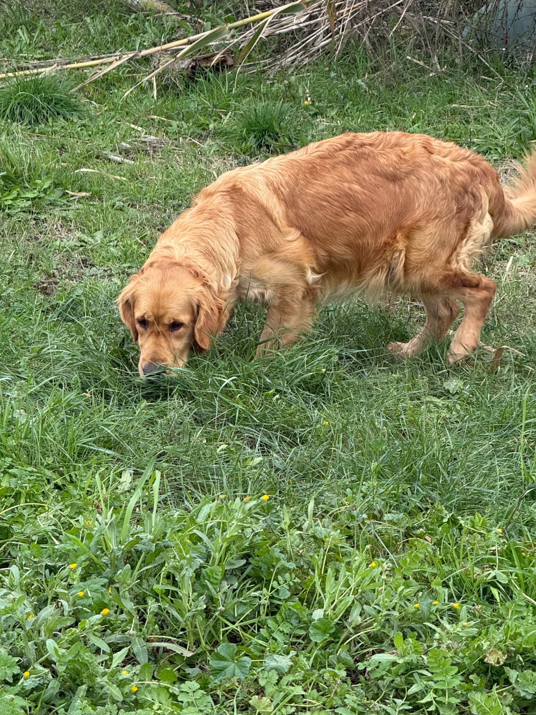 Publication : Des Monts d'Asgard 