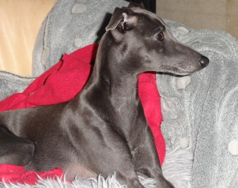 Publication : Du Pays Du Valois 