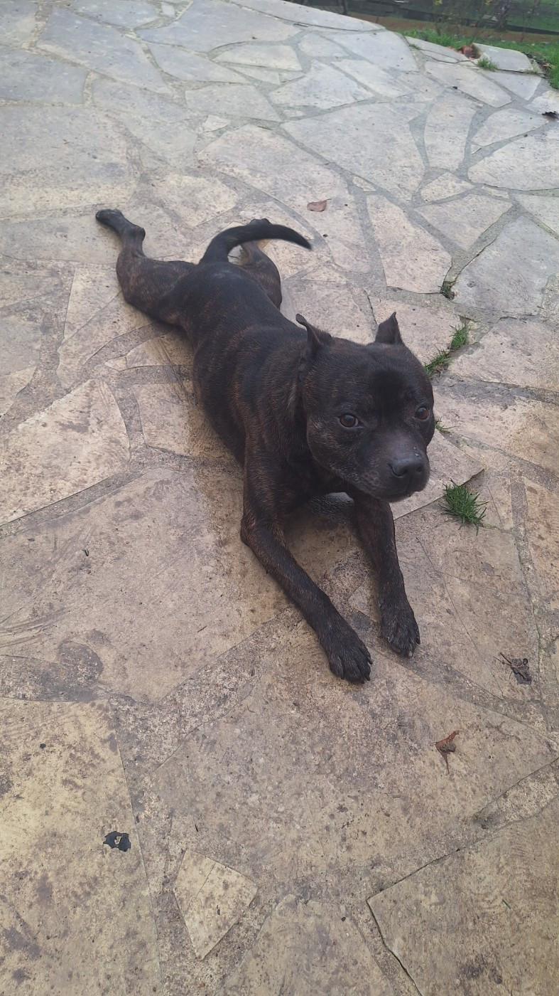 Publication : Les Trésors De Coventina 