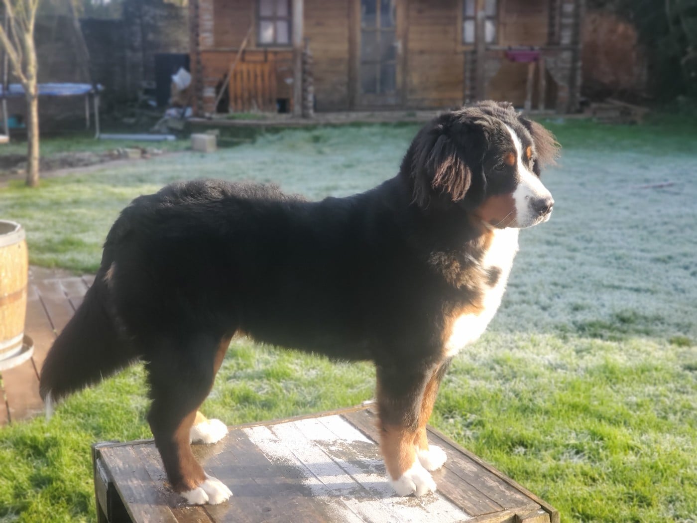 Publication : Etoile De Mahengo 