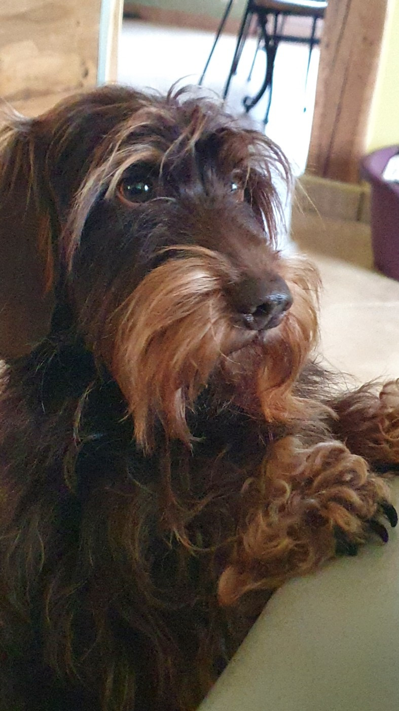 Publication : Des Rêves D'Assenav Auteur : Vanessa