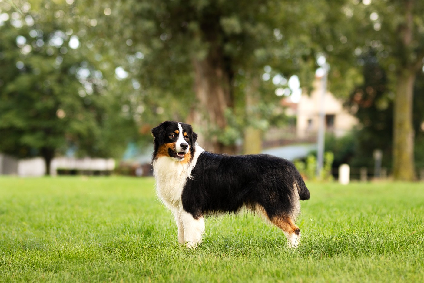 Publication : des terres de Laumeneel