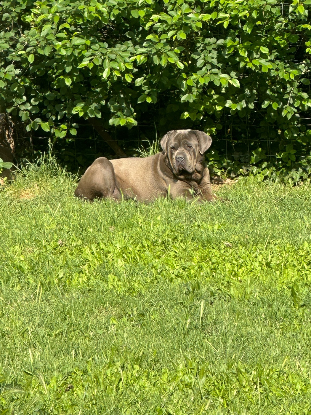 Publication : (Sans Affixe) 