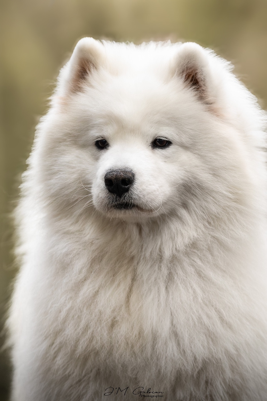 Publication : Du Massif De l'Esterel 