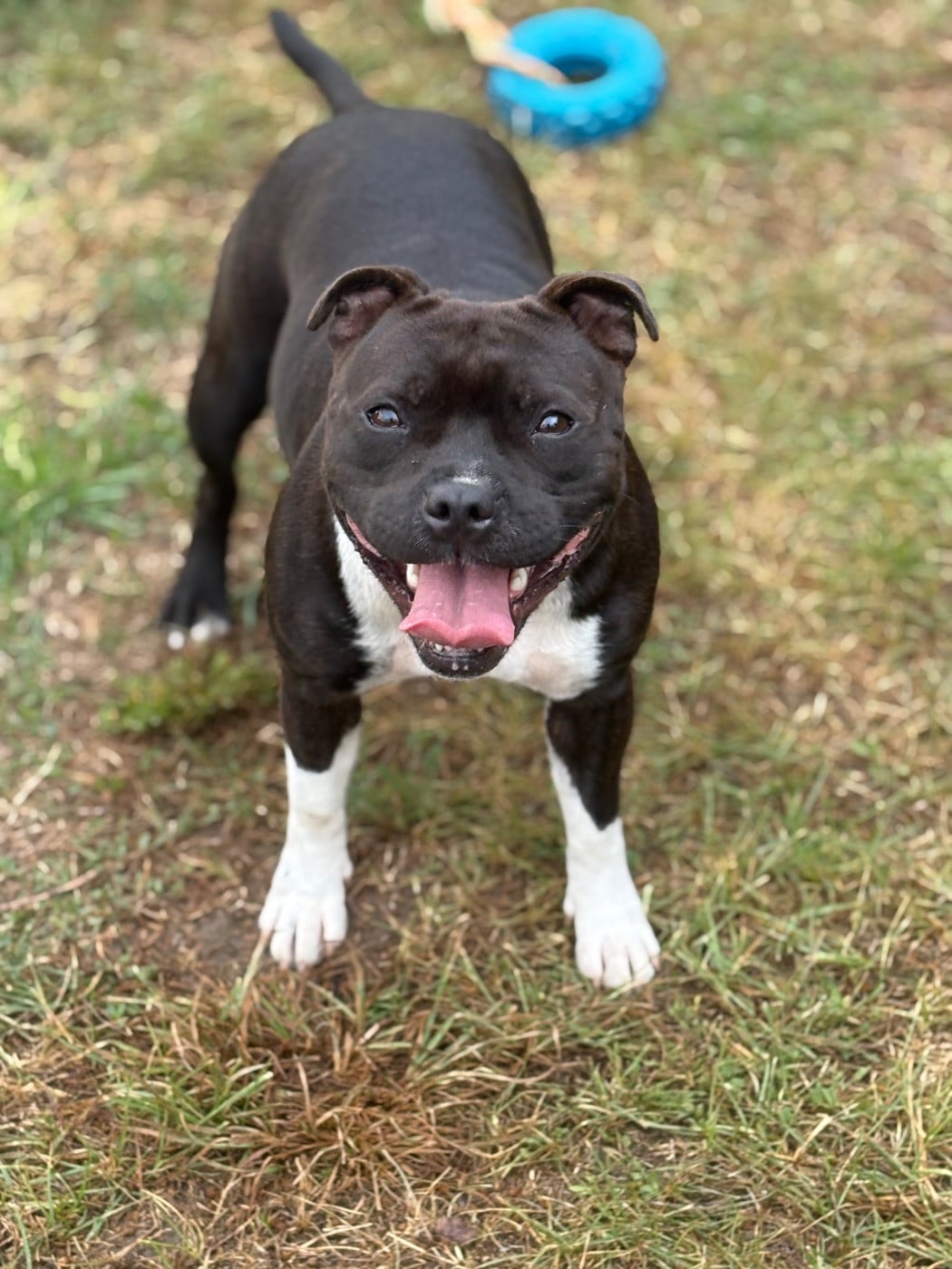 Publication : The Black Of Tairo 