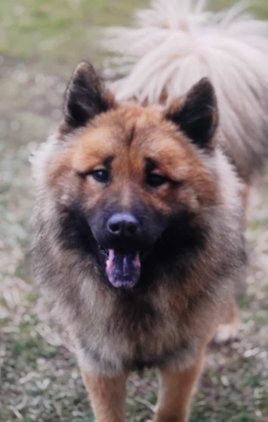 Publication : (Sans Affixe) 