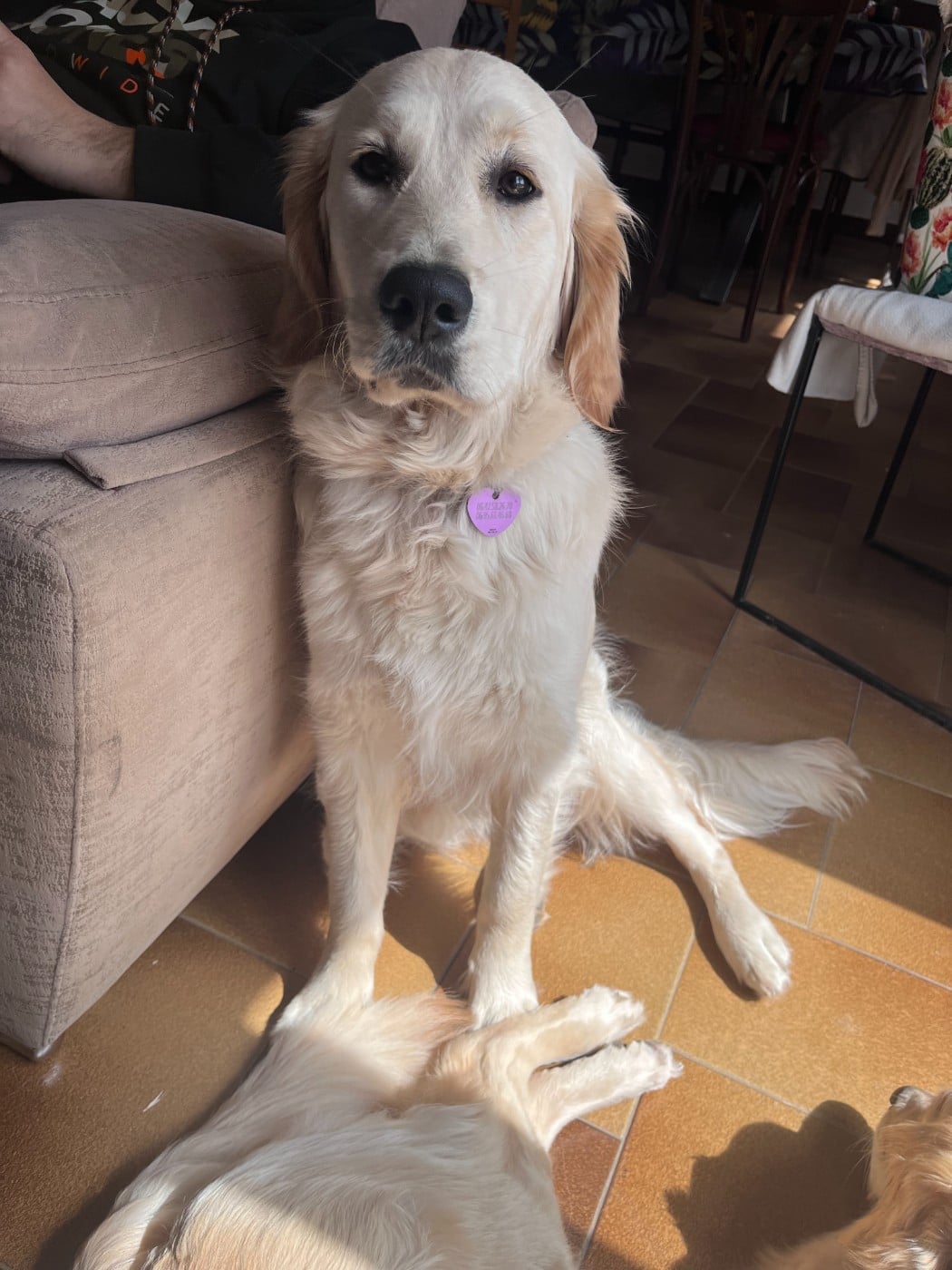 Publication : Des Terres De Toscane