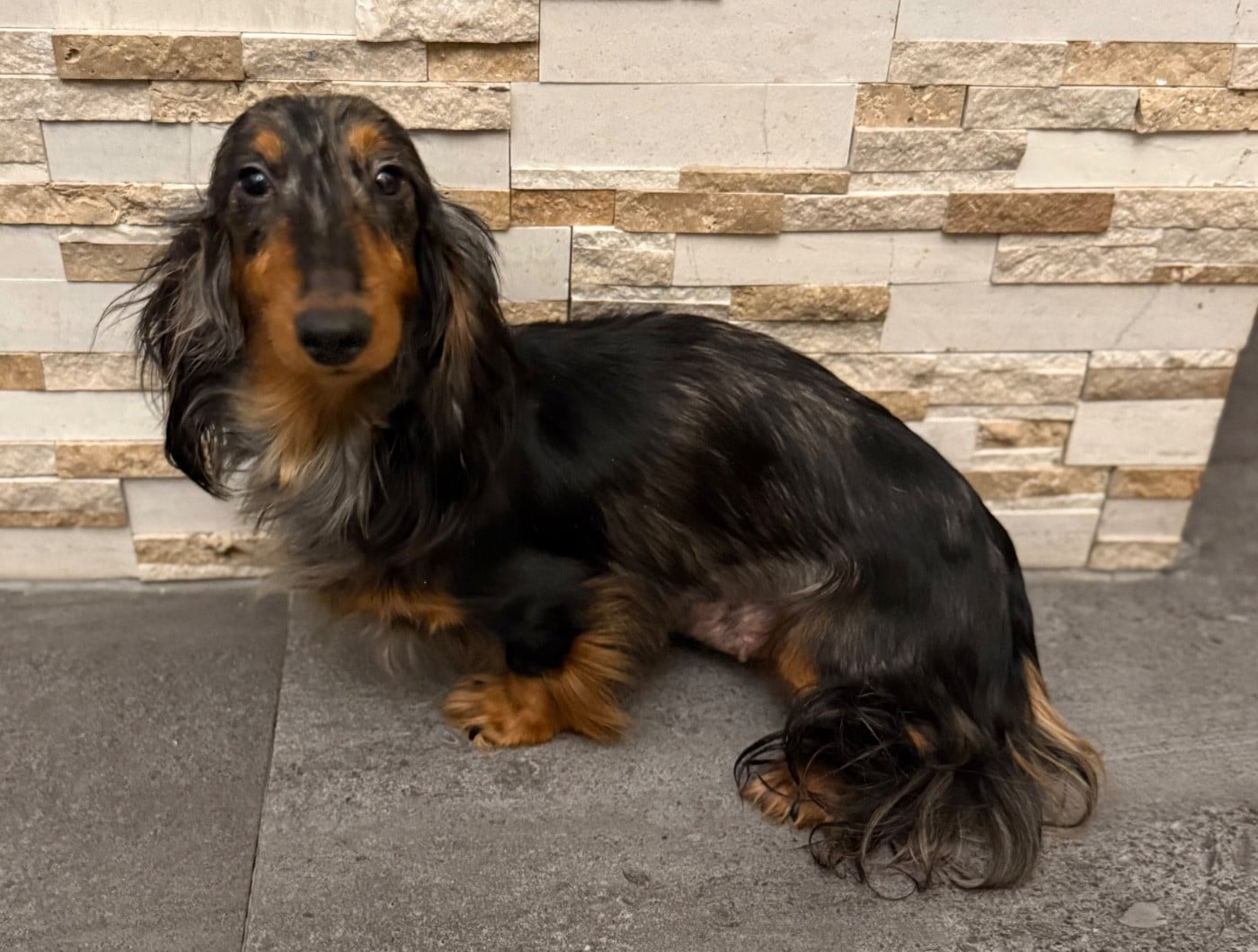 Publication : (Sans Affixe) 