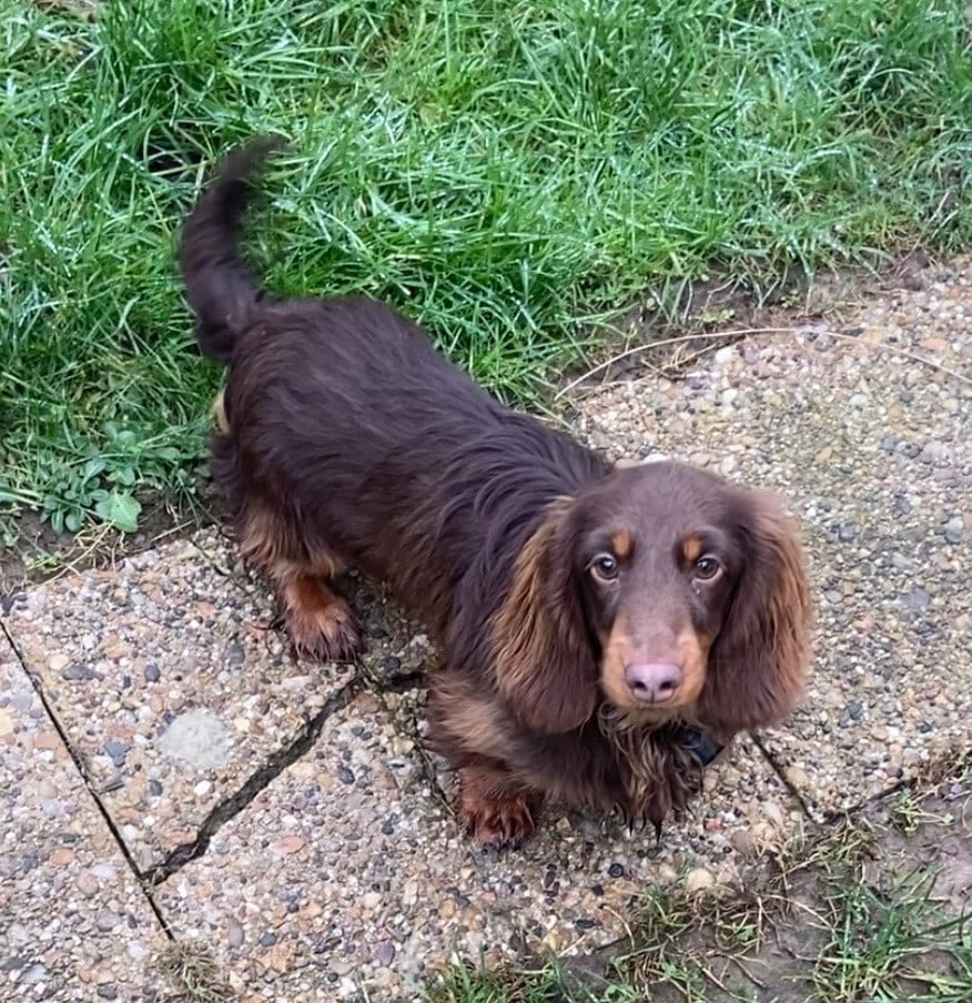 Publication : (Sans Affixe) 