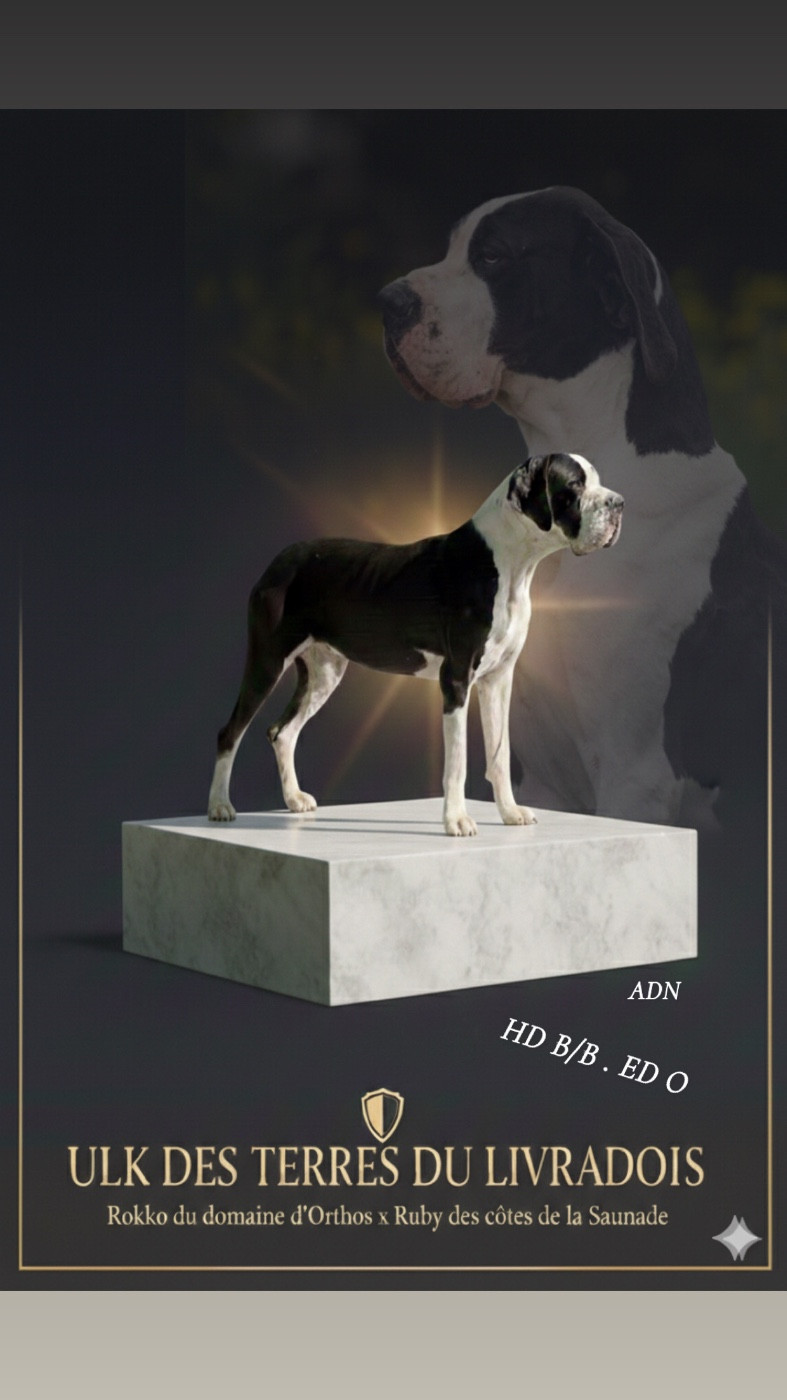 Publication : des Terres de Benji 