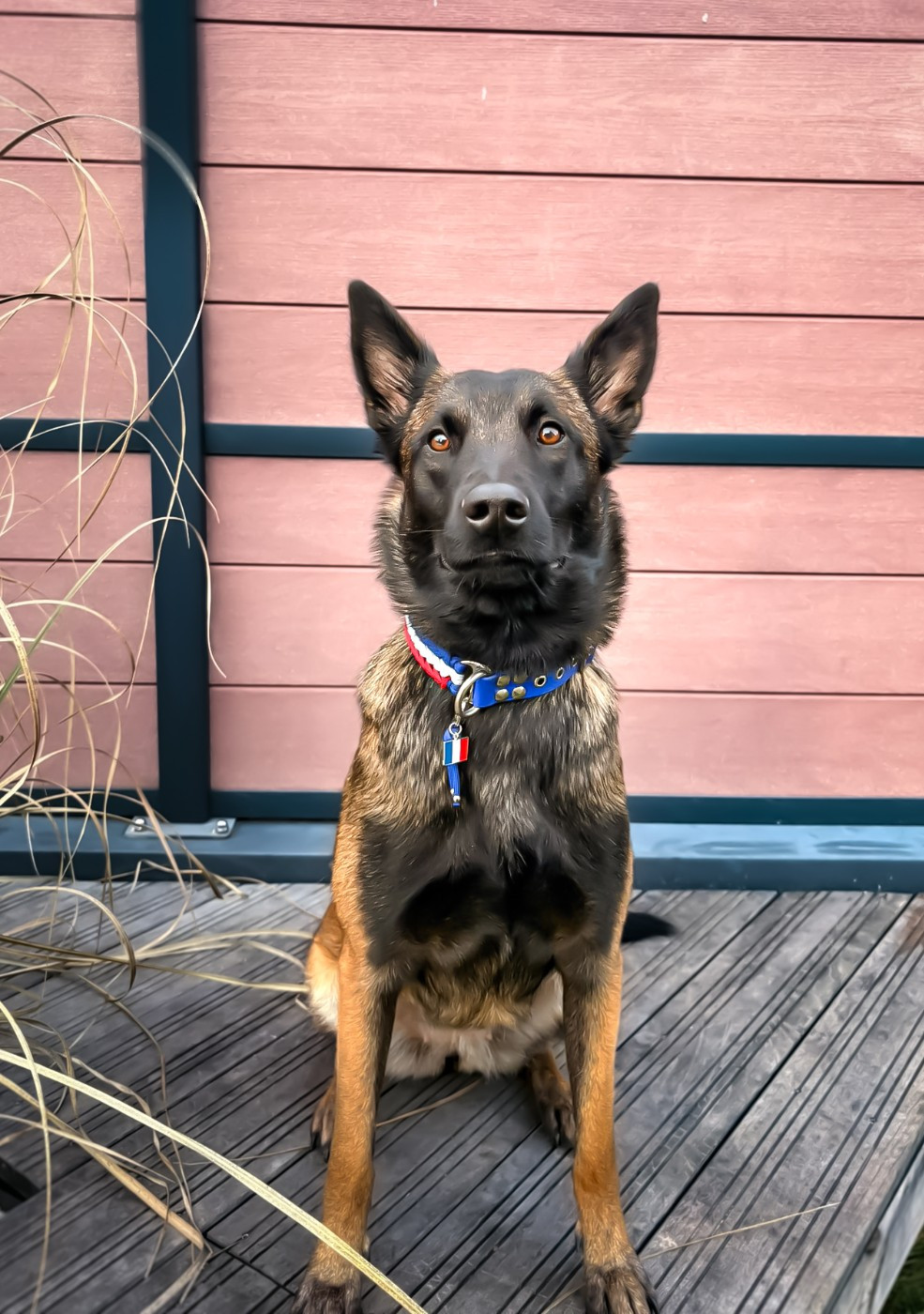 Publication : Des Crocs D'Oska 