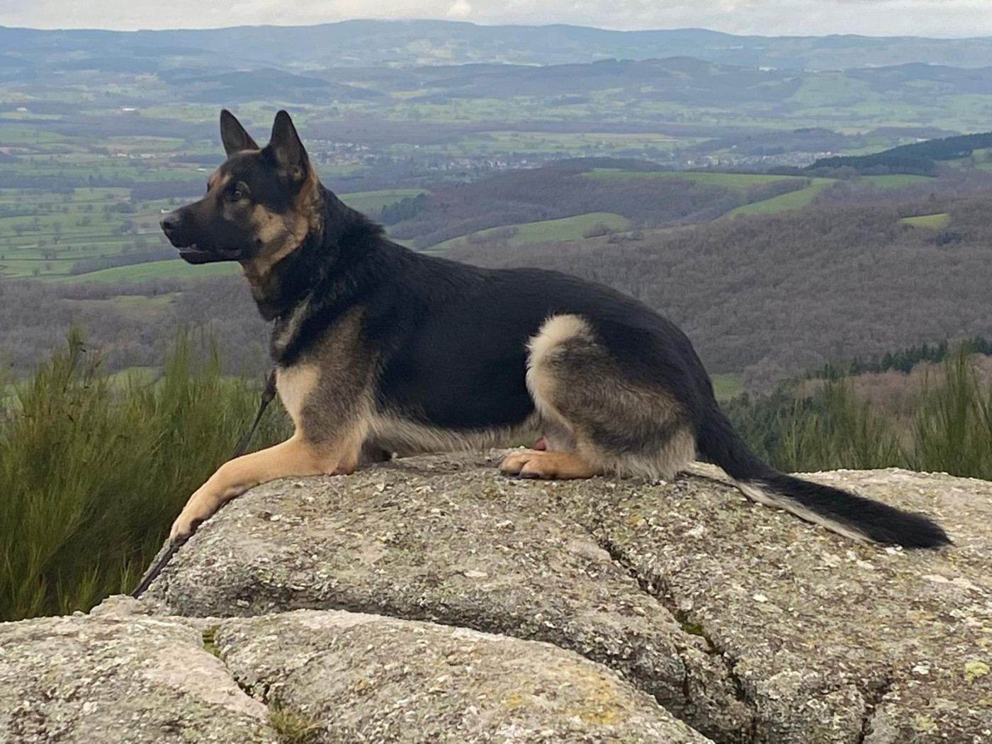 Publication : (Sans Affixe) 