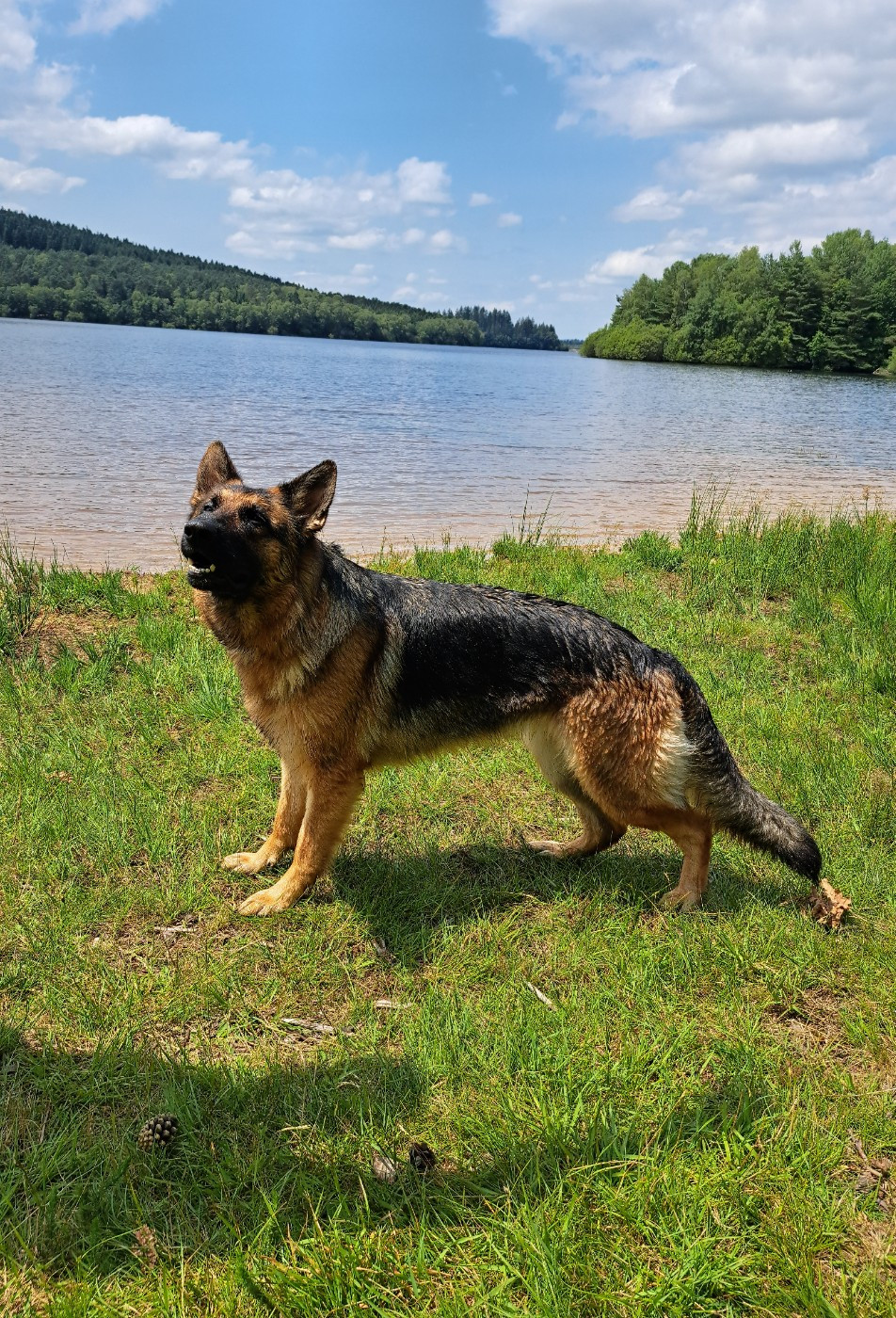 Publication : Des Gardiens De Doulazet 