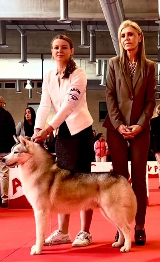 Koba's Snowfall mighty demigod