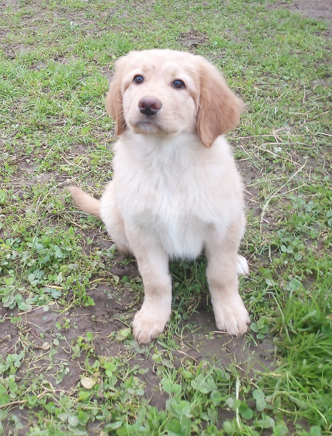 Publication : Matata des Dunes 